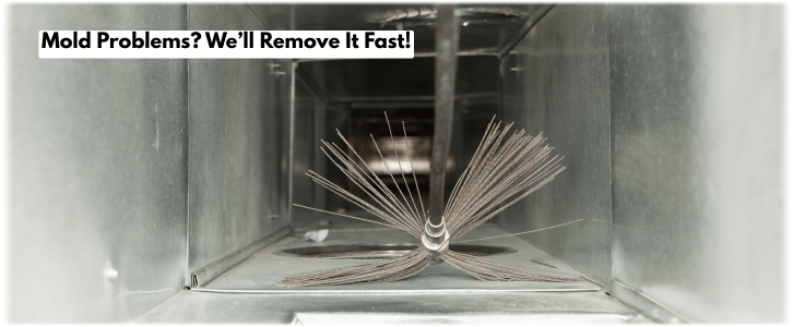 Air Duct Mold Removal in Denton TX